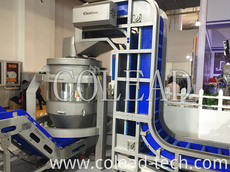 HOT SALE 2018 SUS304 new commercial fruits and vegetable processing line from colead